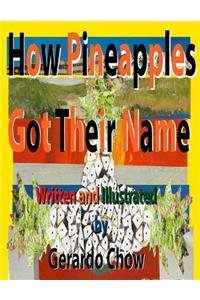 How Pineapples got their name