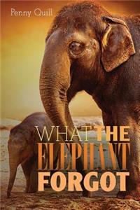 What the Elephant Forgot