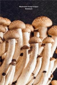 Mushroom Fungi Fungus Notebook