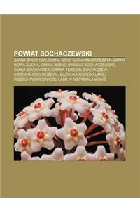 Powiat Sochaczewski: Gmina Brochow, Gmina I Ow, Gmina M Odzieszyn, Gmina Nowa Sucha, Gmina Rybno (Powiat Sochaczewski), Gmina Sochaczew