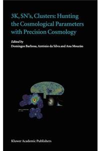 3k, Sn's, Clusters: Hunting the Cosmological Parameters with Precision Cosmology