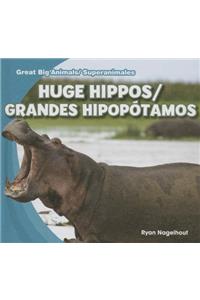 Huge Hippos / Grandes Hipopótamos