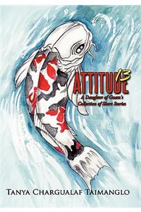 Attitude 13