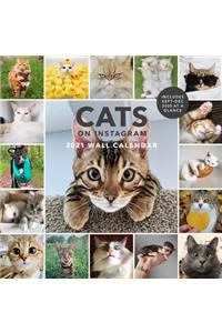 Cats on Instagram 2021 Wall Calendar