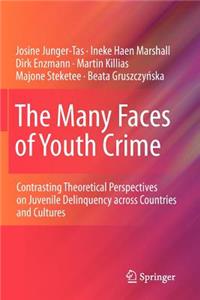 Many Faces of Youth Crime