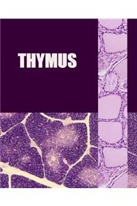 Thymus