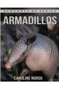 Armadillo