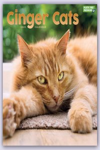 2023 Ginger Caats Wall Calendar Plastic Free