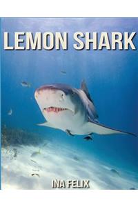 Lemon Shark