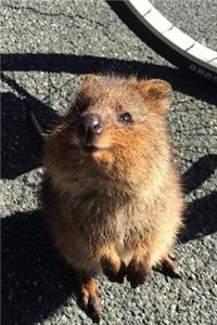 Say Hello to the Quokka Journal