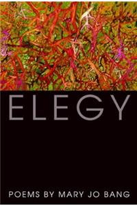 Elegy