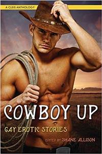 Cowboy Up: Gay Erotic Stories