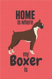 Home is where my Boxer is