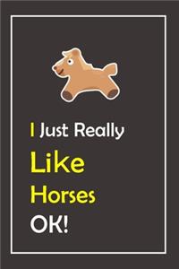 I Just Really Like Horses, OK !