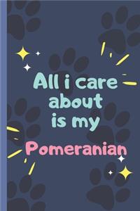 All I Care About Is MyPomeranian - Notebook