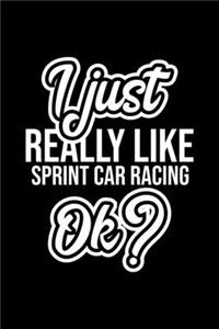 I Just Really Like Sprint Car Racing Ok?