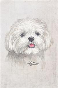 Maltese Dog Portrait Notebook