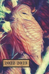 Brown and Cream Barn Owl Wildlife Bird Lover's Dated Weekly 2 year Calendar Planner