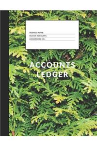 Accounts Ledger