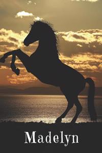 Madelyn's Horse