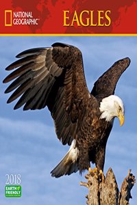 National Geographic Eagles 2018 Wall Calendar