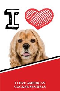 I Love American Cocker Spaniels