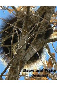 Write and Draw Journal