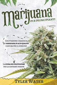 Coltivazione della Marijuana per Principianti