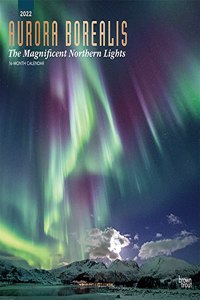 Aurora Borealis the Magnificent Northern Lights 2022 Square