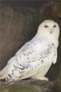 Snowy Owl On Rocky Outcropping - Lined Notebook with Margins - 6x9