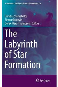 Labyrinth of Star Formation