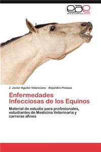 Enfermedades Infecciosas de Los Equinos