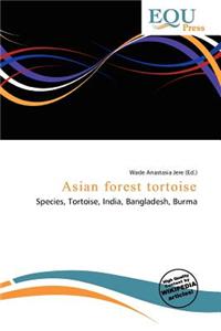 Asian Forest Tortoise