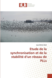 Etude de la synchronisation et de la stabilité d'un réseau de PLLs