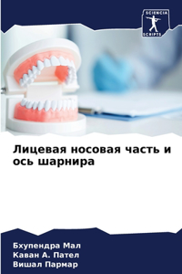 Лицевая носовая часть и ось шарнира