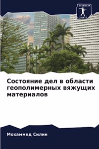 Состояние дел в области геополимерных вяж