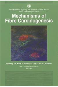 Mechanisms of Fibre Carcinogenesis [Op]