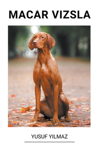Macar Vizsla
