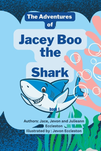 Adventures of Jacey Boo Shark