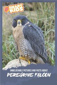 Unbelievable Pictures and Facts About Peregrine Falcons