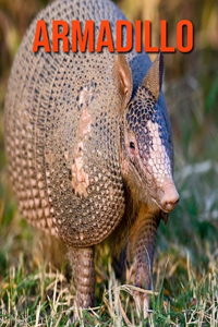 Armadillo