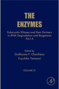 Eukaryotic Rnases and Their Partners in RNA Degradation and Biogenesis