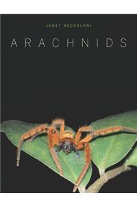 Arachnids