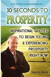 30 Seconds to Prosperity: Inspirational Quotes to Begin Feeling and Experiencing Prosperity Right Now!