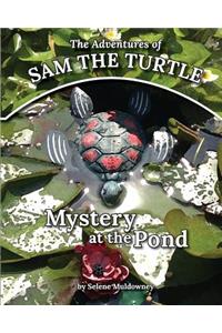 Adventures of Sam the Turtle