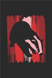 Badger Wild Animal