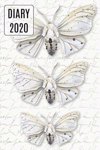 2020 Daily Diary Journal, Pretty Moths