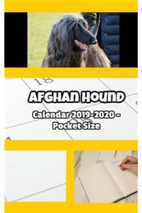 Afghan Hound Calendar 2019-2020 - Pocket Size