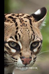 ocelot notebook