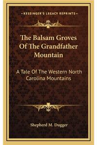 Balsam Groves Of The Grandfather Mountain